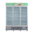 Ventilador comercial Refrigeración de la puerta de vidrio vertical congelador